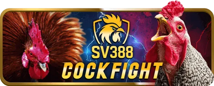 Đá gà trực tuyến 88ag win